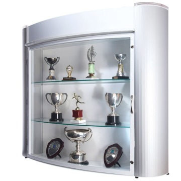 Wall mounted trophy display