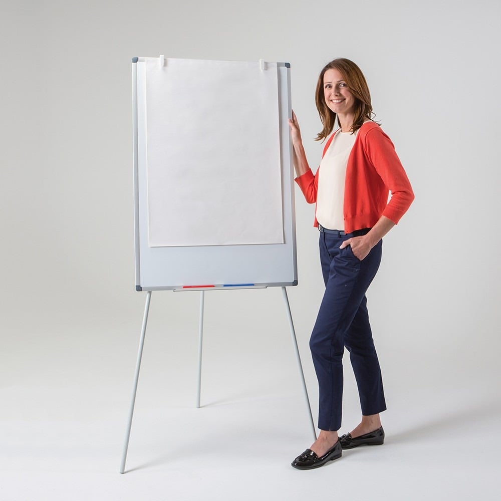 Dry Wipe Portable Flip Chart Easel