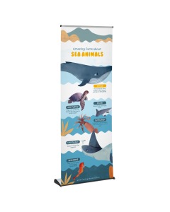 Slim Low Profile Roller Banner Stand