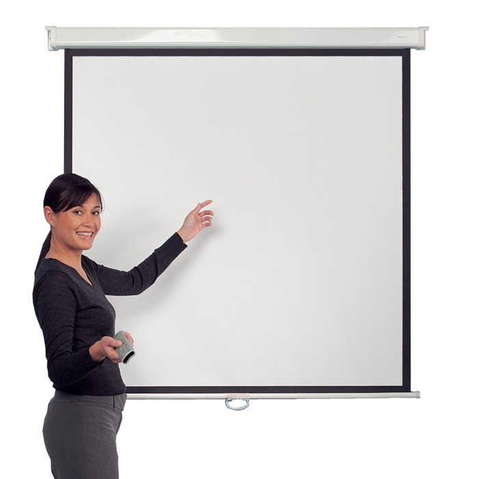 Eyeline® Presenter Wall Screens